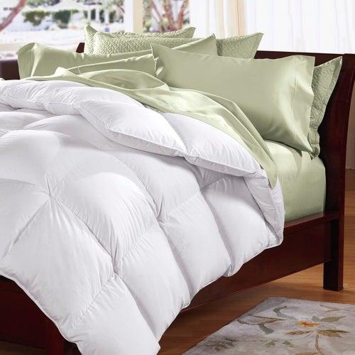 Royal Comfort Goose Feather and Down Quilt 500GSM for King Bed