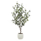 Eucalyptus Tree - Tub Pot