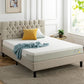 iContour GT8 Single Mattress