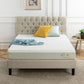 iContour GT8 Queen Mattress