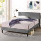 Olivia 30cm Upholstered Queen Bed Frame Dark Grey