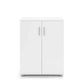 Ivy 2 Door Pantry Cupboard - White